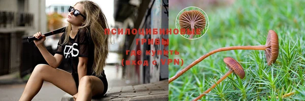 амф Алексеевка