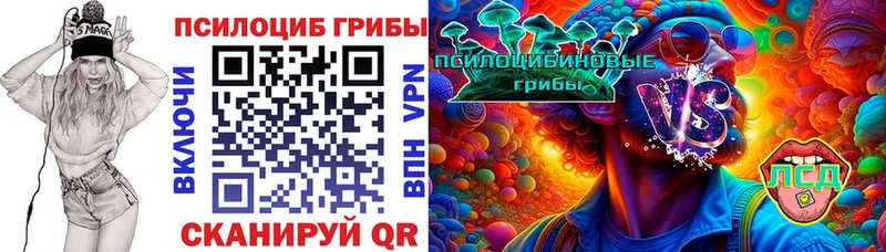 omg как зайти  сколько стоит  Мамоново  Псилоцибиновые грибы Psilocybine cubensis 